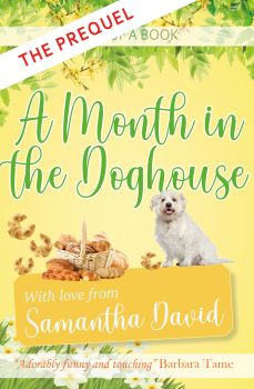 A month in the doghouse 